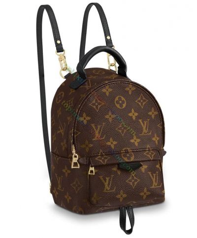 Louis Vuitton Palm Springs Monogram Printing High End Black Leather Detail Lady Classic Brown Canvas Backpack